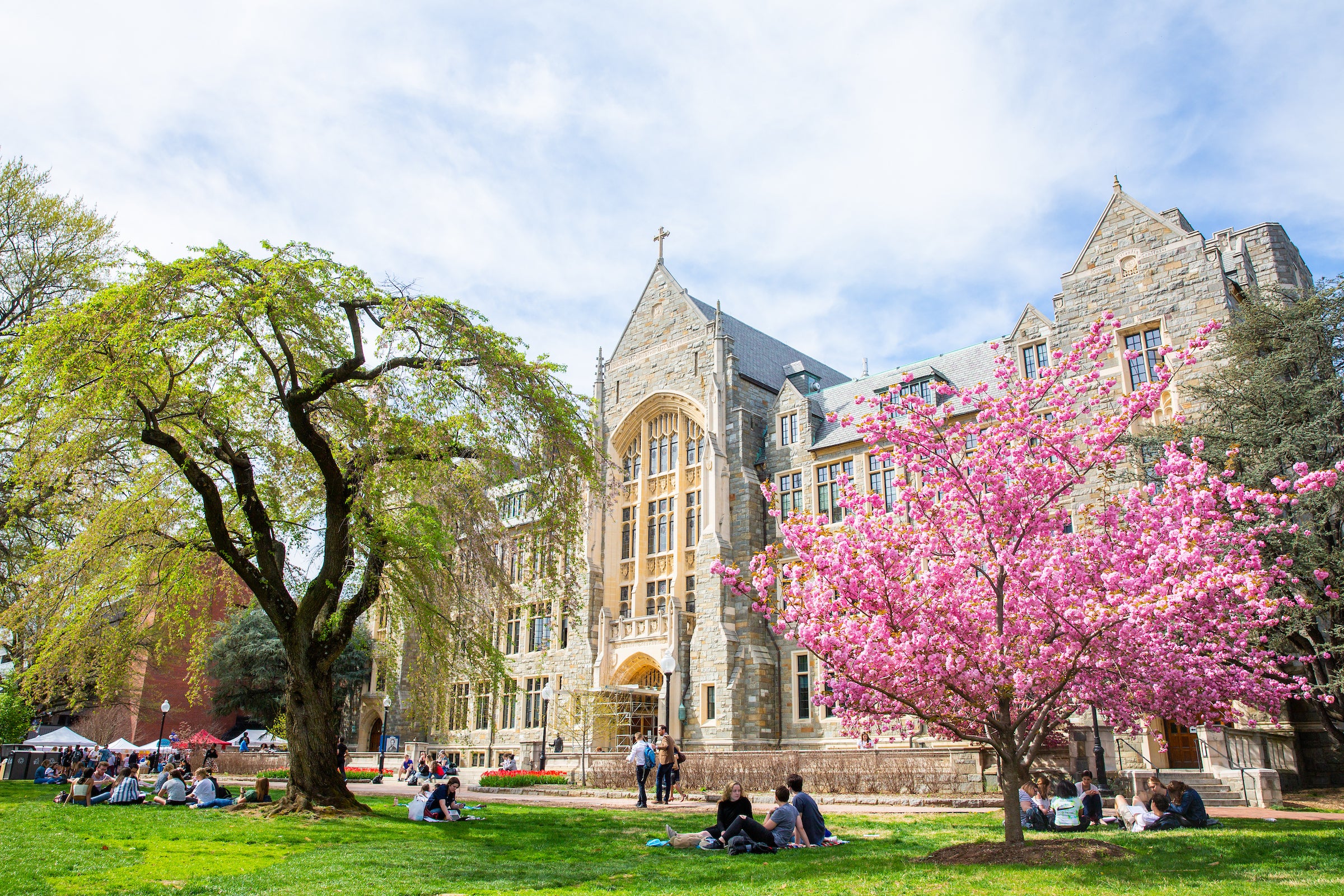 Outdoor view of the front of Healy Hall. It is a sunny spring day with pink flowering trees on the front lawn.