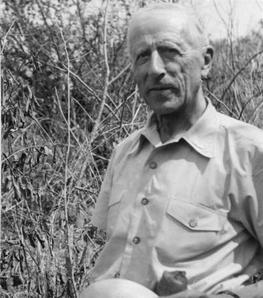 Black and white photo of Father Pierre Teilhard de Chardin, wearing a button down shirt, is standing in a field of brush.