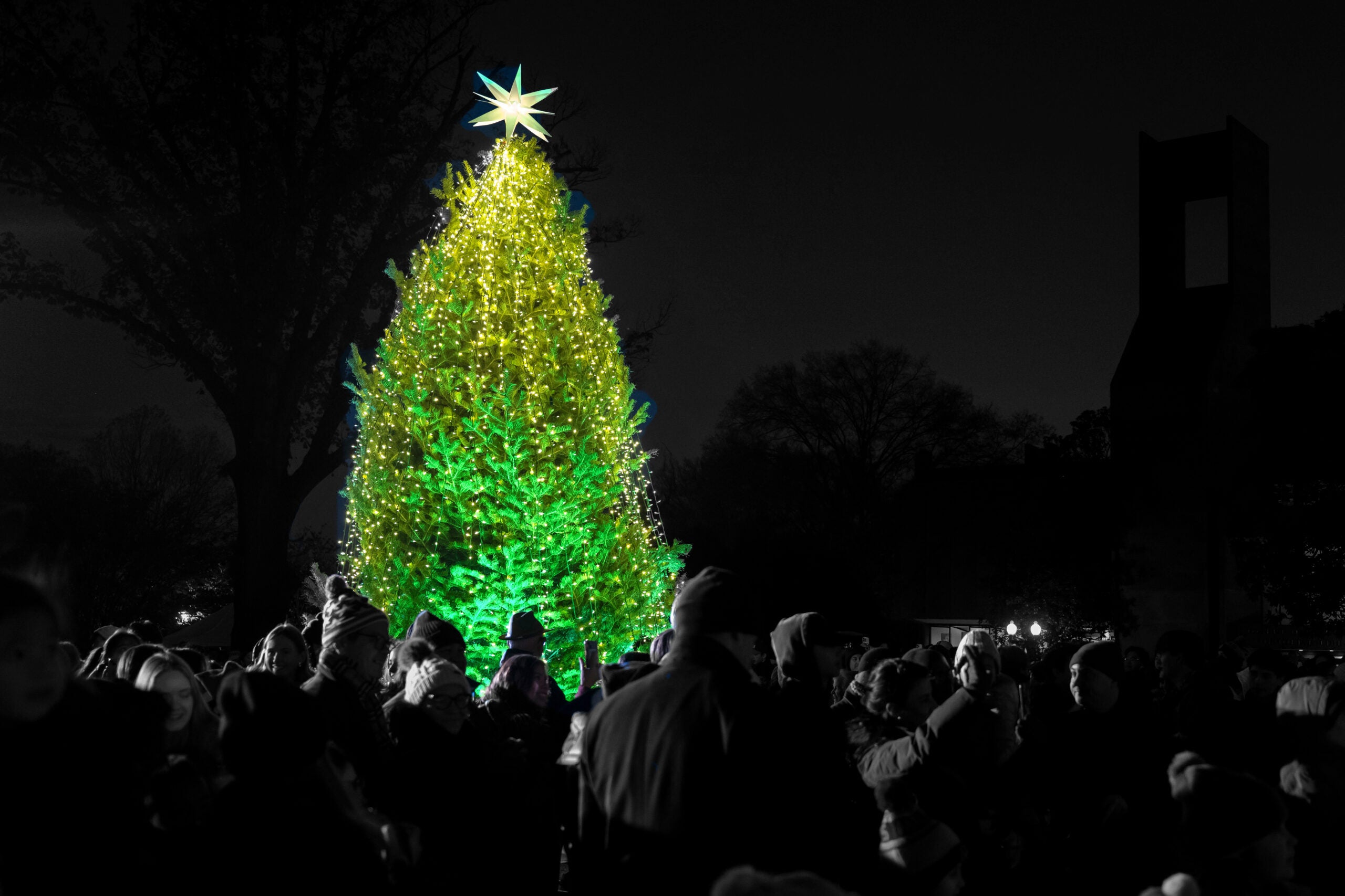 A lit Christmas tree topped with a bright white star stands with a crowd of people around it.